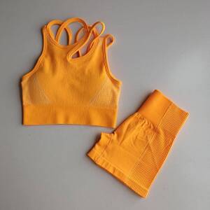 2 Piece Yoga Outfit for Women | Sport bra and shorts activewear set iGadgets
