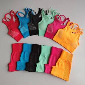 2 Piece Yoga Outfit for Women | Sport bra and shorts activewear set iGadgets