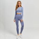 Women Vital Seamless Yoga Set Gym Clothing Fitness Leggings+Cropped Shirts Sport Suit Women Long Sleeve Tracksuit Active Wear Activewear Yoga Gym Wear Sport & Fitness